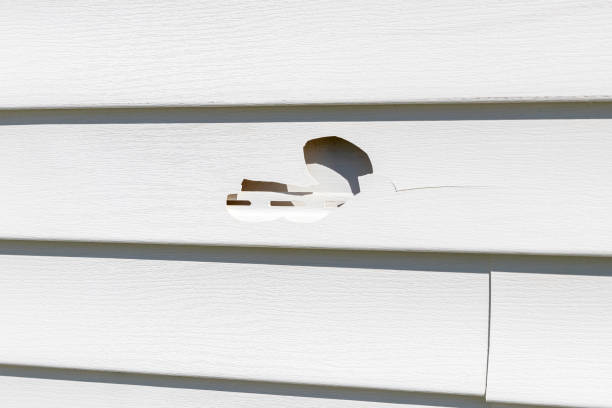 Professional Siding Services in Taylor Creek, OH